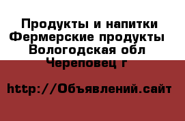 Продукты и напитки Фермерские продукты. Вологодская обл.,Череповец г.